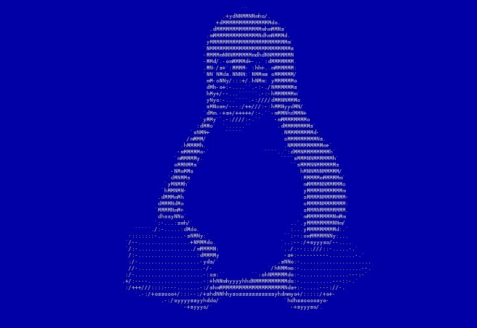 Linus Torvalds announces the launch of the Linux 5.3 kernel