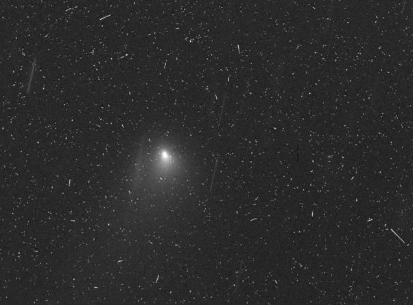 No differences Found between Borisov's interstellar and Solar System comets