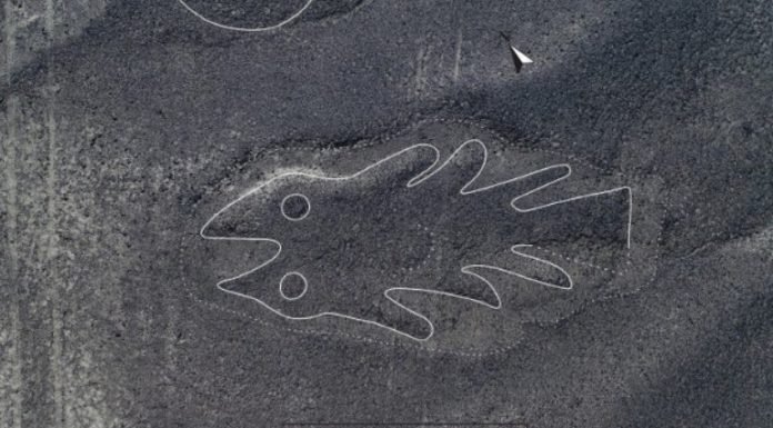 Artificial Intelligence helped to find 143 Geoglyphs on Nazca plateau