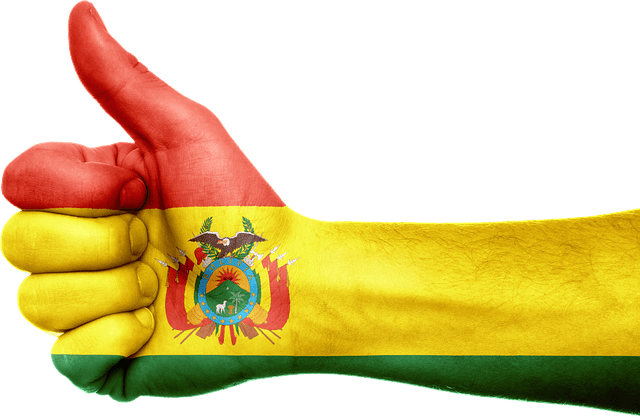 Extraordinary general elections to be held in Bolivia