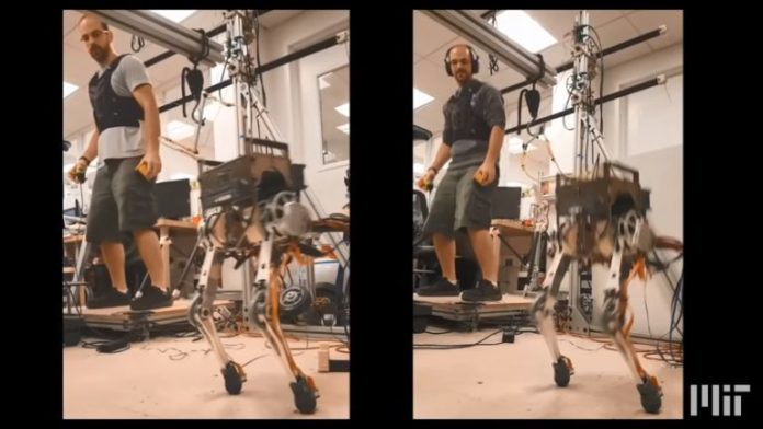 This two-legged remote-controlled robot uses man to maintain its balance