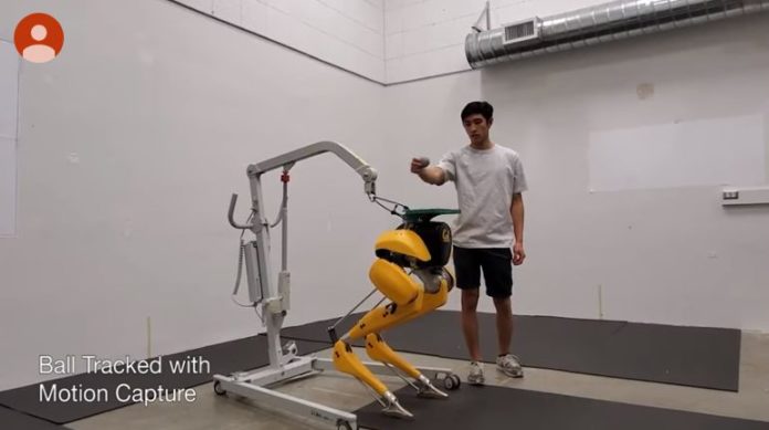 Two-legged robot 