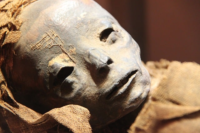 Egyptian scientists unravel the mystery of the 'screaming mummy'