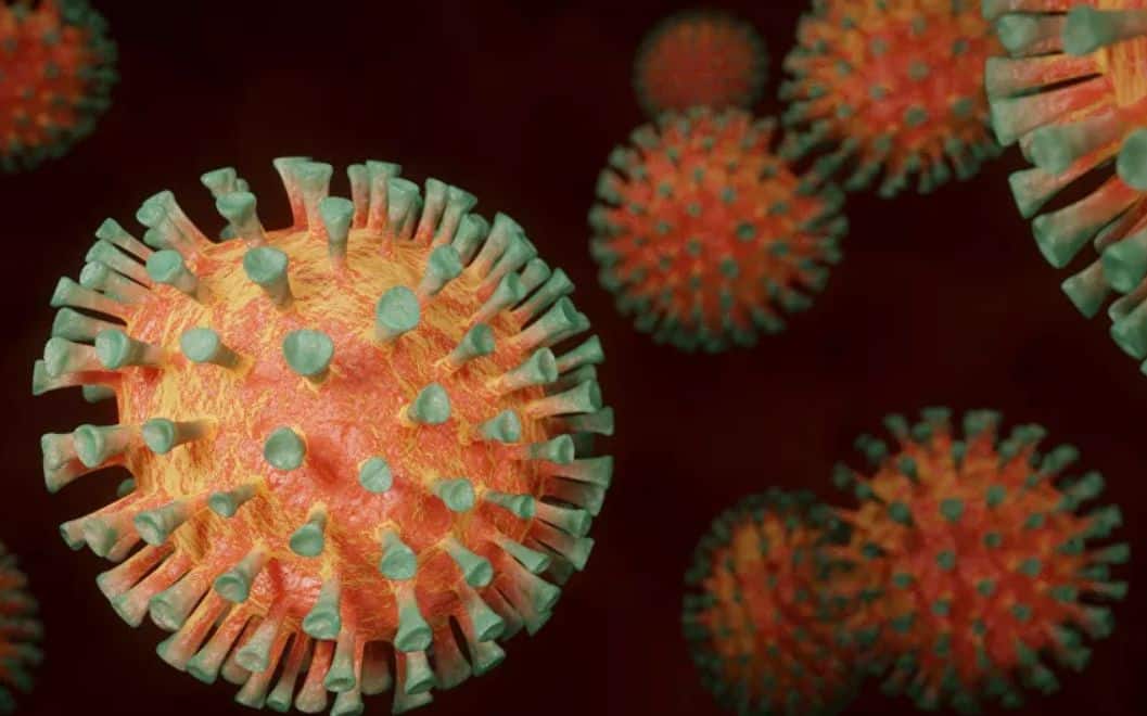 The invisible factor: What protects half of the world's population from coronavirus