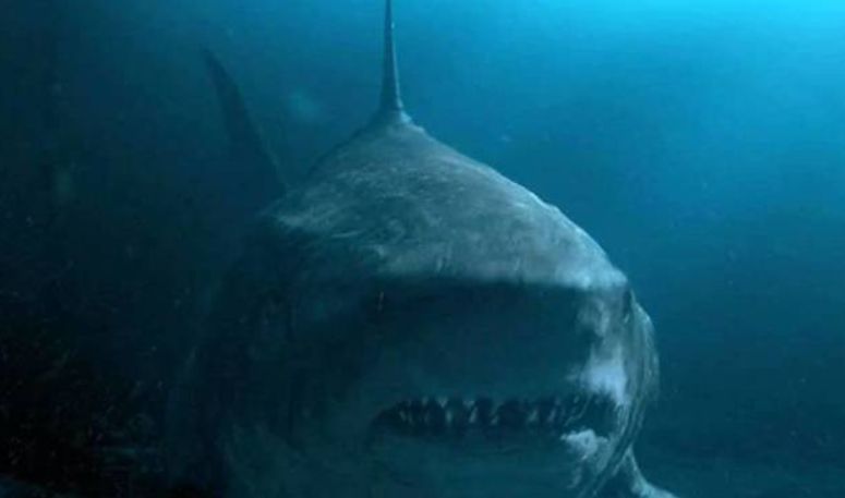 Study reveals the true size of a huge prehistoric Megalodon shark