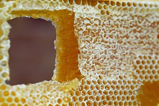 What mathematical patterns do bees follow to make their perfect honeycombs?