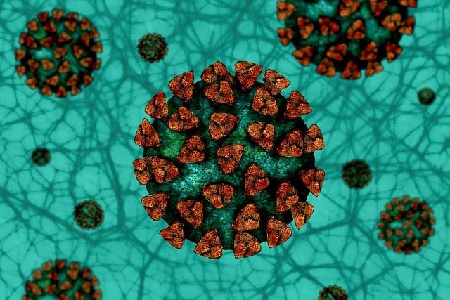 A single genotype of the coronavirus triggered 60% cases in Spain during March