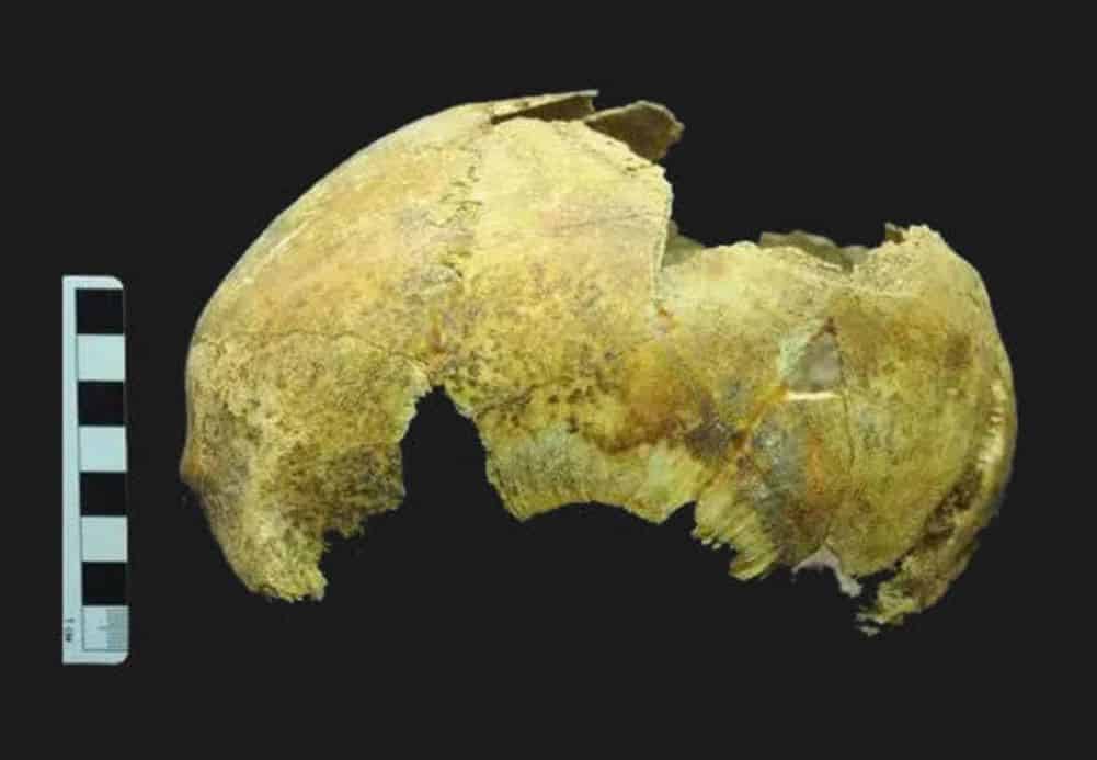 Archaeologists discover an unusual a 5,000-year-old skull in Crimea