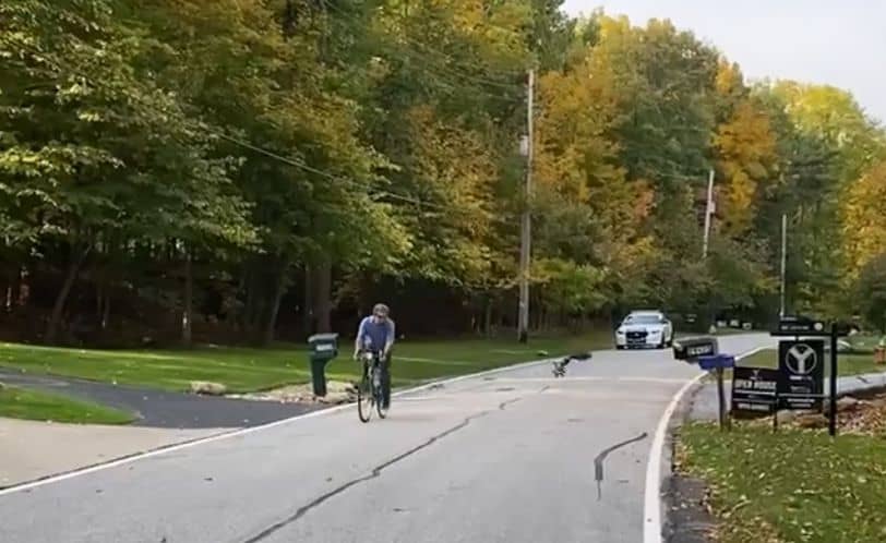 Video of Goose racing with a cyclist goes viral in Ohio