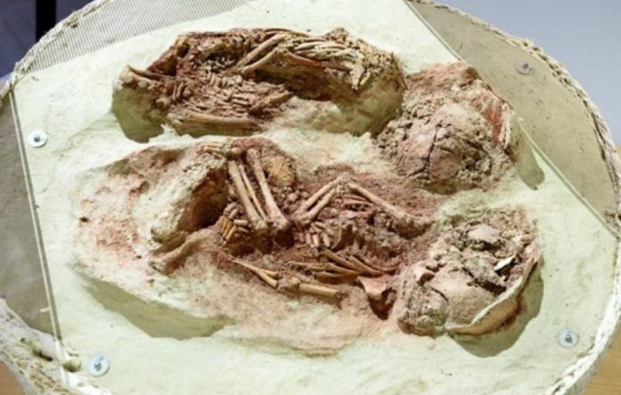 Scientists discover the oldest remains of newborn twins in Austria