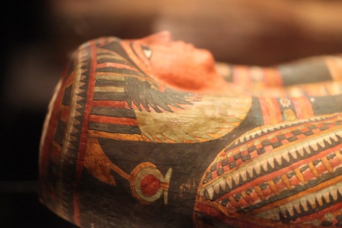 X-ray analysis of ancient Egyptian mummy reveals a surprising discovery