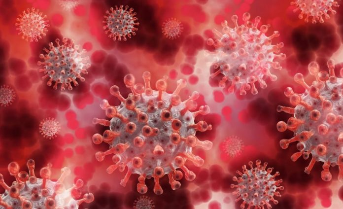 Scientists warn of a new coronavirus mutation in South Africa: does it threaten vaccines?