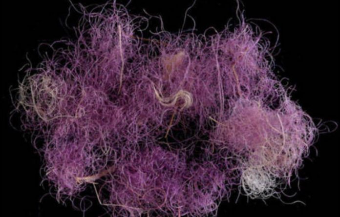 3,000-year-old purple fabrics allow you to imagine the wardrobe of biblical kings
