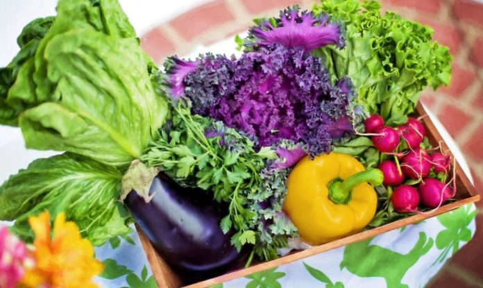Cruciferous veggies that can improve your health - study