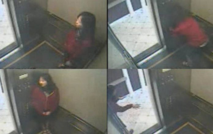 Elisa Lam's terrifying story: the mystery of the elevator video comes to Netflix