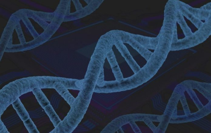 New genes linked to cancer discovered in human genome