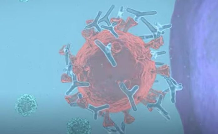 Scientists demonstrate how all four types of COVID vaccines protect us against Coronavirus