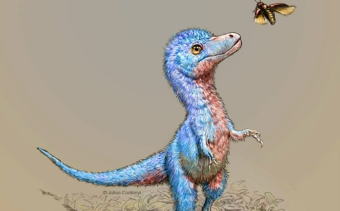 Scientists reconstruct the appearance of young tyrannosaurs