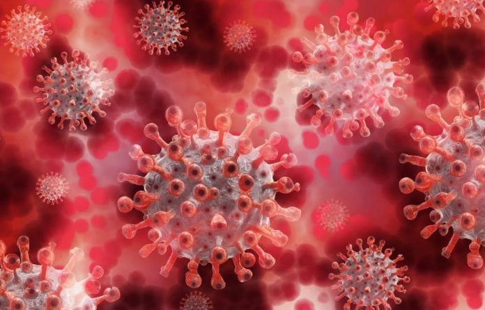 Dubai calls for a shut after witnessing a stark upsurge in the coronavirus cases
