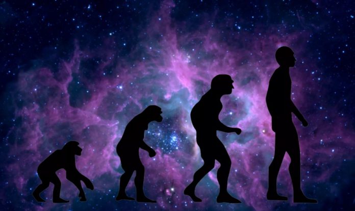 Science solves another enigma of human evolution