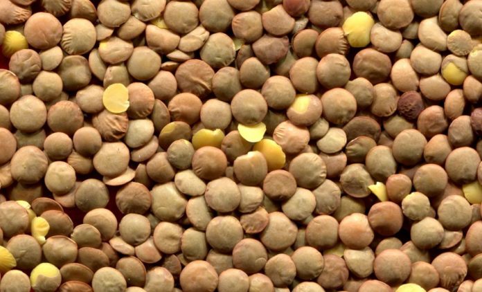 Six reasons for you to integrate and value more legumes in your daily diet