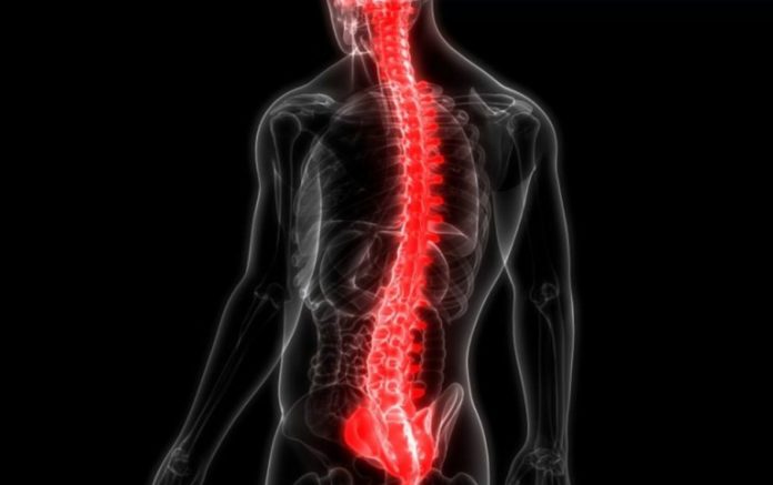 Stem cells help 13 spinal cord injury patients recover