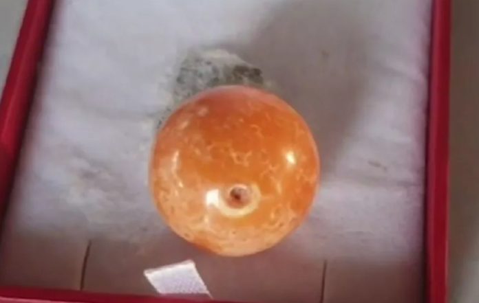 Two fishermen find a rare orange pearl worth hundreds of thousands of dollars