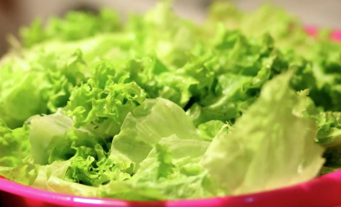 A simple solution that will help you preserve lettuce for weeks