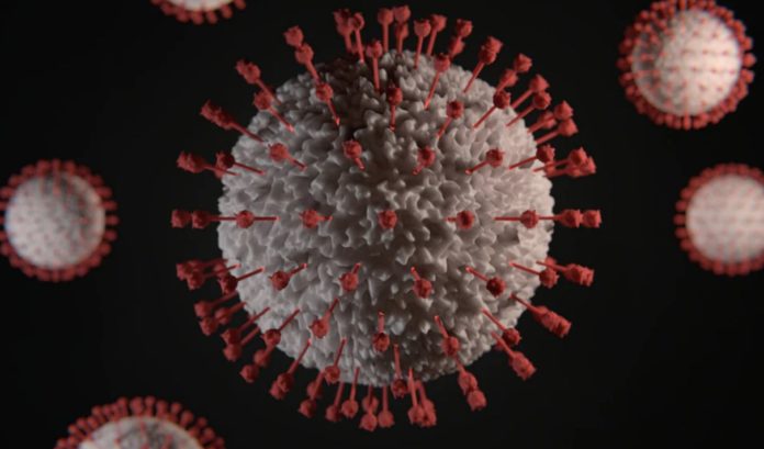 Brazil new strain of coronavirus found to be more deadly for young people