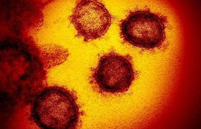Coronavirus was roaming around undetected for at least two months before first case appeared in Wuhan: study