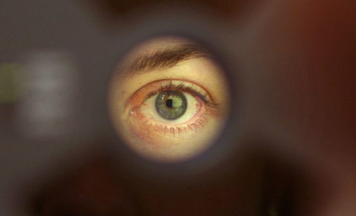 Eyes not only help us to see the world but can also predict heart disease