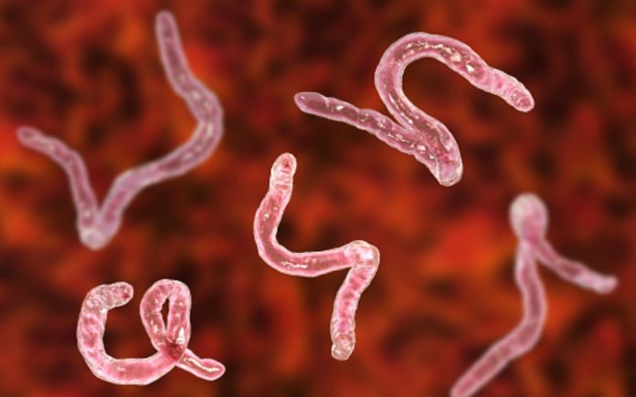 This is all you need to know about the signs and symptoms of tapeworm, according to the doctor