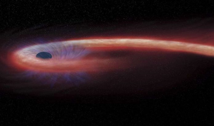This newly discovered mysteriously medium-sized black hole could help answer questions about the origins and growth of larger ones