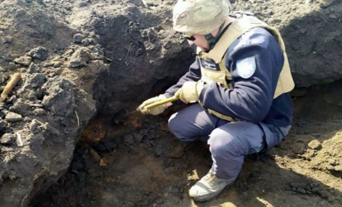 A Local resident accidentally stumbles upon hundreds of Soviet anti-tank mines (photo and video)
