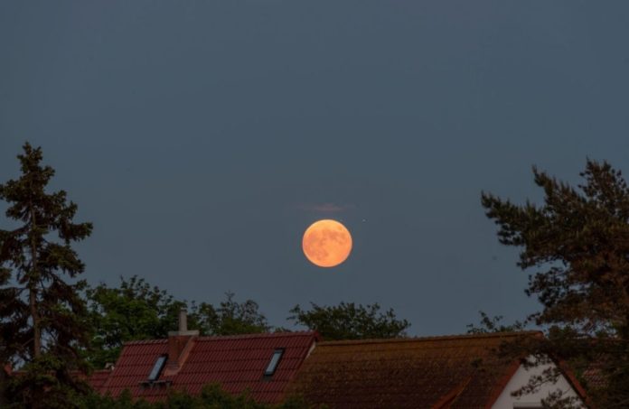 A pink supermoon to light up the night sky around the globe: Here's when you can catch a glimpse of the 2021 Full Pink Moon