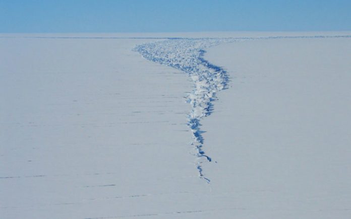Antarctica faces unprecedented disaster: scientists