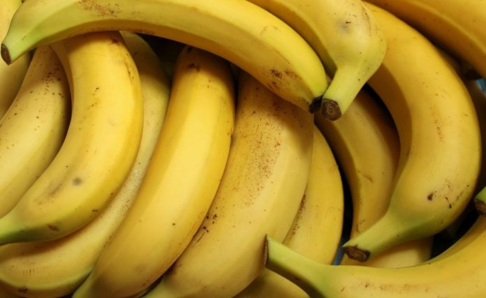 Bananas shortage: Threat to most popular fruit