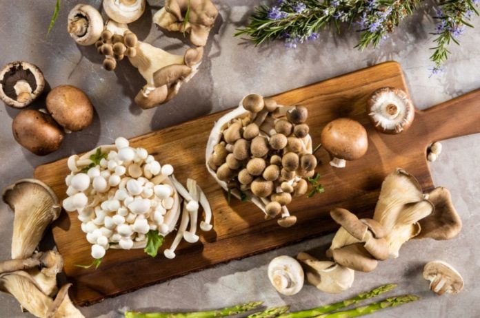 Eating Mushroom Wards Off Your Risk of Cancer By Up to 45%, New Study Finds