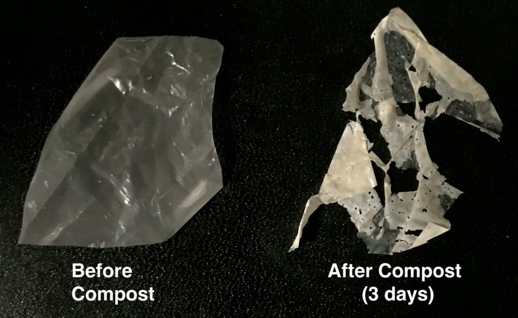 New biodegradable single-use plastic which ‘eats itself’ revealed