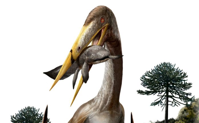 Pterosaurs Secret: Scientists solve one of paleontology's enduring mysteries