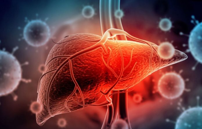 Liver damage often goes unnoticed: 4 warning signs you should not ignore