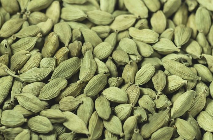 Natural substance found in Green Cardamom can easily eliminate microbes in the human body - Says New Study