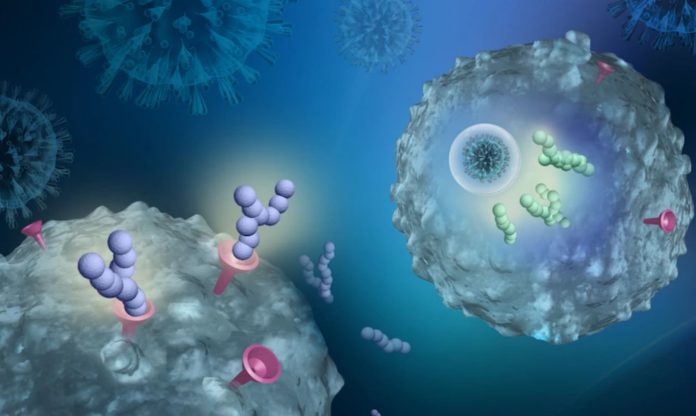 Researchers replace coronavirus vaccine with drugs