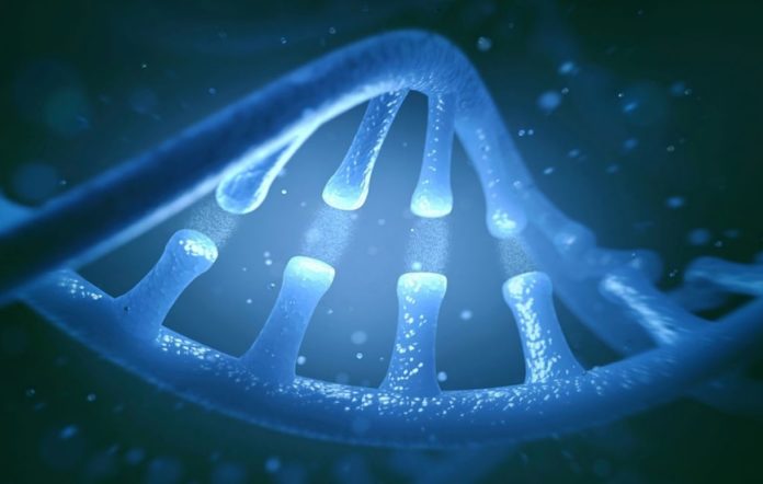 Human cells: RNA to DNA is possible