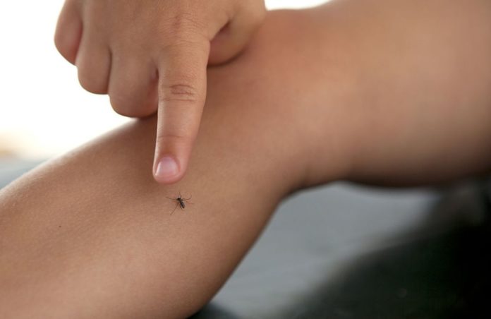 Mosquitoes: Seven Reasons to Bite You Not Your Neighbor