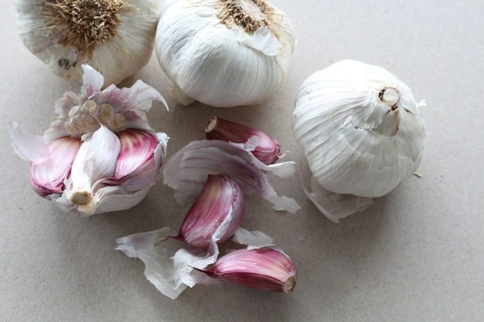 Scientists recommend men to eat garlic before dating