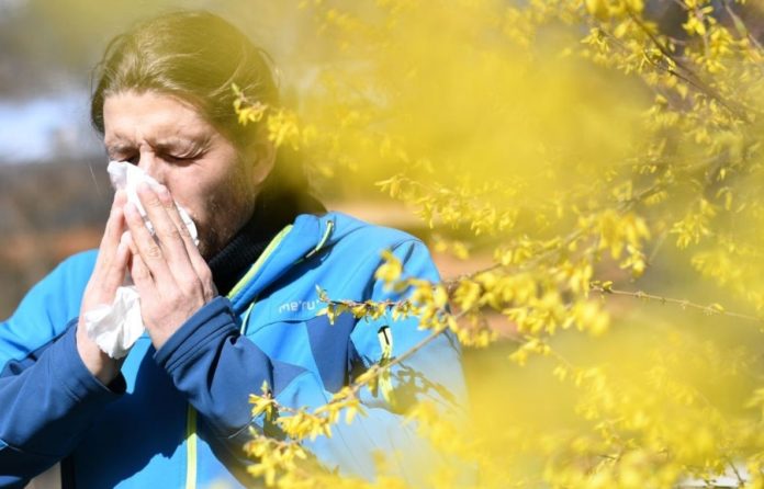 Seasonal allergies in the US are worsening as a result of the climatic crisis - warn experts