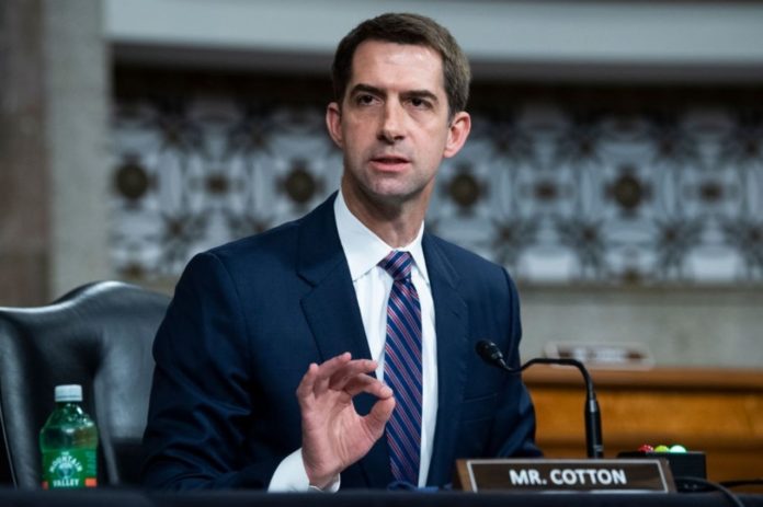 Senator Cotton questions the US Navy's ability to 'fight and defeat' China