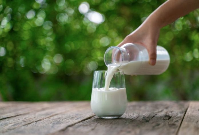 Adults who drink 1 percent milk instead of 2 percent milk live 4.5 years longer