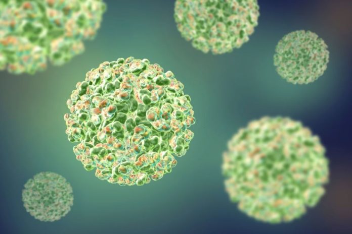 Study reports two potential antibodies may serve as a universal vaccine against Alphavirus